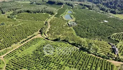 image_rental-30286677