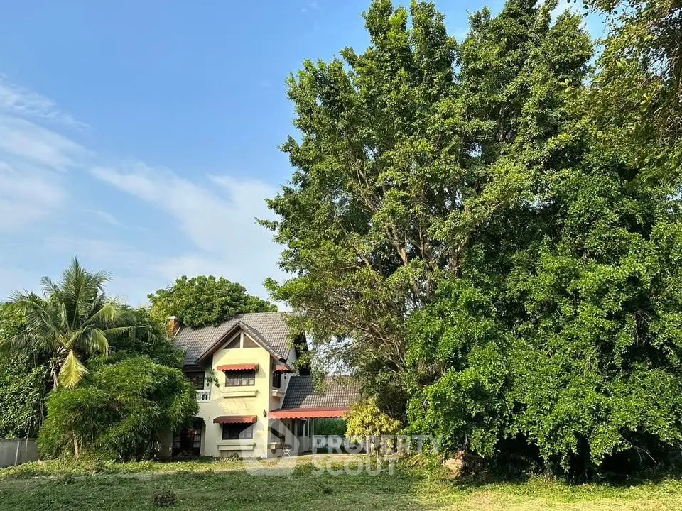 Charming suburban house with lush greenery and spacious front yard