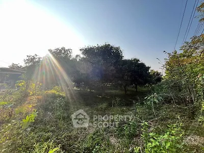 Lush green garden with trees under a clear blue sky, perfect for serene living.
