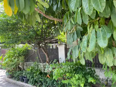 Lush garden view with vibrant greenery and trees enhancing curb appeal