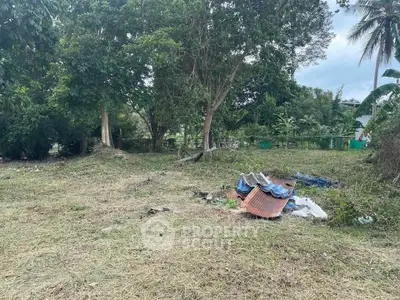 Spacious undeveloped land with lush greenery, perfect for building your dream home or investment property.