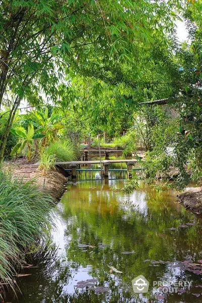 Serene garden view with lush greenery and tranquil water feature