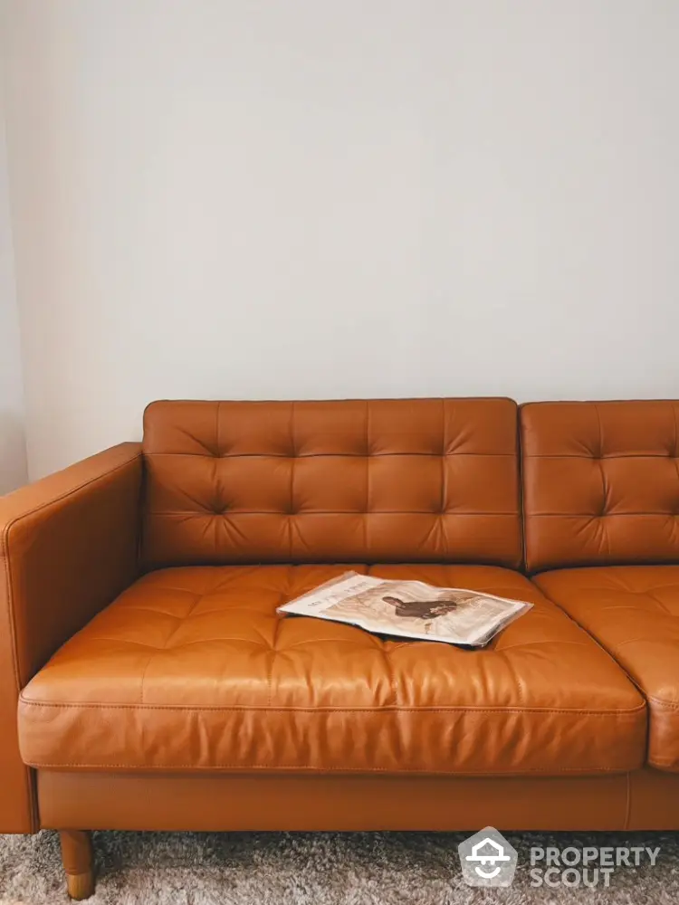 Stylish leather sofa in modern living room interior