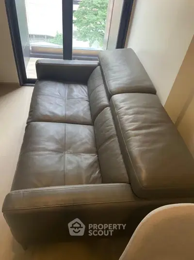 Modern leather sofa in a stylish living room with large windows and natural light.