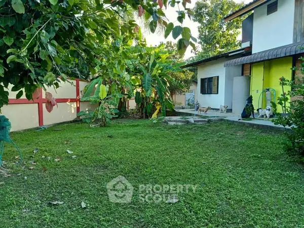 image_rental-30760579