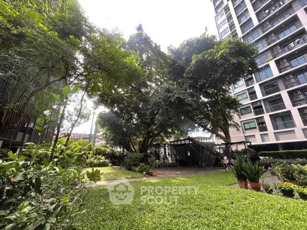 image_rental-21187401