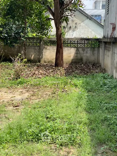 Charming backyard garden with lush greenery and mature tree, perfect for outdoor relaxation and gardening.