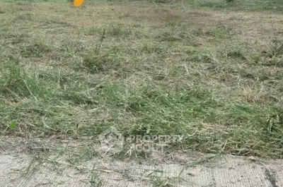 Screenshot 2569-01-15 at 18.15.38.jpg