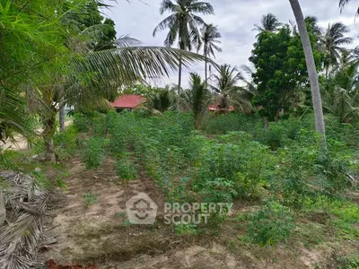 Lush tropical garden with palm trees and greenery, perfect for serene living.