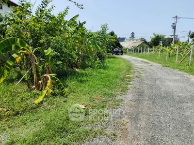 Charming rural property with lush greenery and a gravel driveway, perfect for nature lovers.