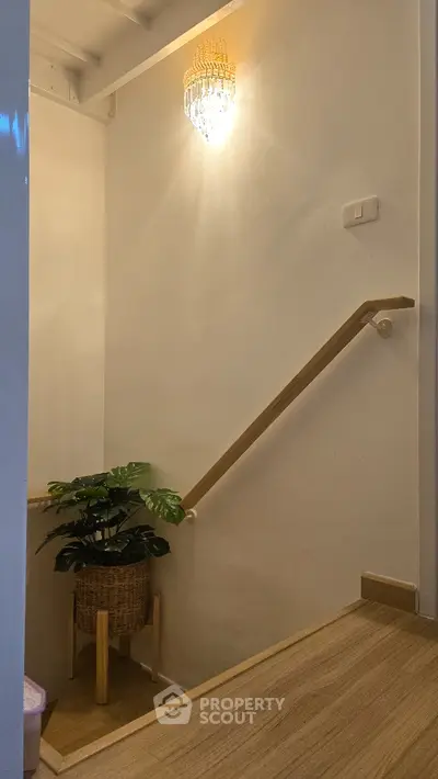 Stylish staircase with elegant lighting and decorative plant in modern home