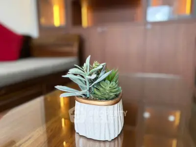 Stylish living room with elegant wooden furniture and modern succulent decor
