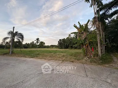 Spacious land plot with lush greenery and palm trees, perfect for development or investment.