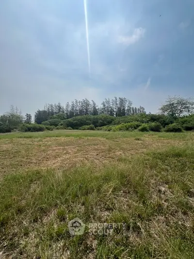 Expansive green land with lush trees under a clear blue sky, perfect for development opportunities.