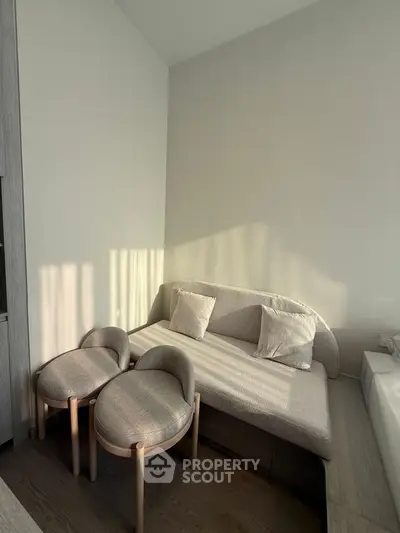 Cozy minimalist living room with modern furniture and natural light