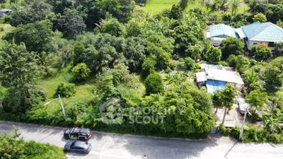 Lush green plot with potential for development in a serene neighborhood, ideal for residential projects.