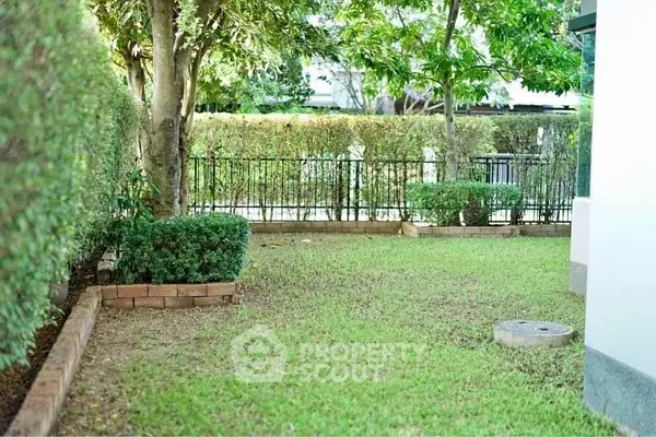 image_rental-30234412