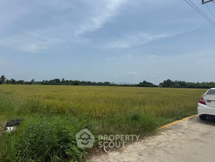 Expansive open field with clear skies and roadside view, ideal for development.