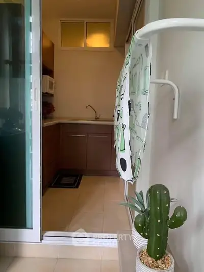 Cozy kitchen with sliding glass door and cactus decor