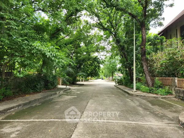 image_rental-24976853