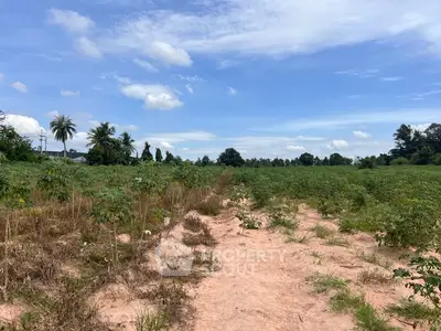 Expansive agricultural land with clear skies and lush greenery, ideal for development.