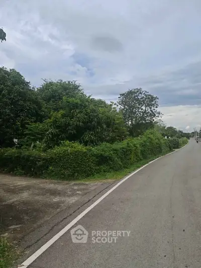 Scenic roadside view with lush greenery and open sky, ideal for real estate development.