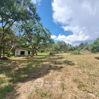 image_rental-29527303