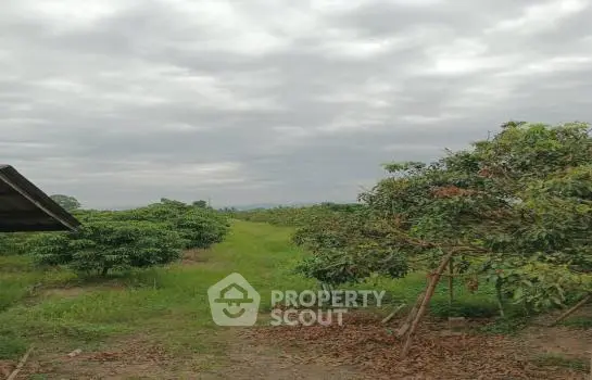 image_rental-21885924