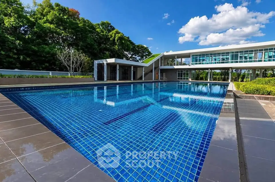 Luxurious modern swimming pool with sleek design and lush greenery, perfect for relaxation and leisure.