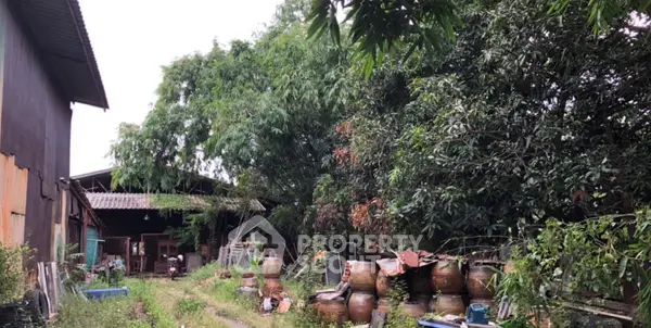 image_rental-31429768