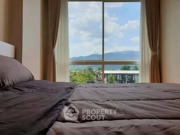 image_rental-24024602