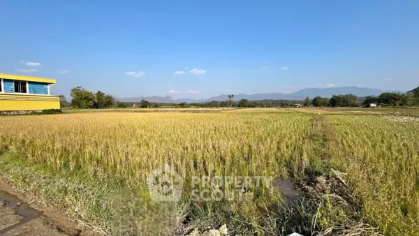 image_rental-31423422