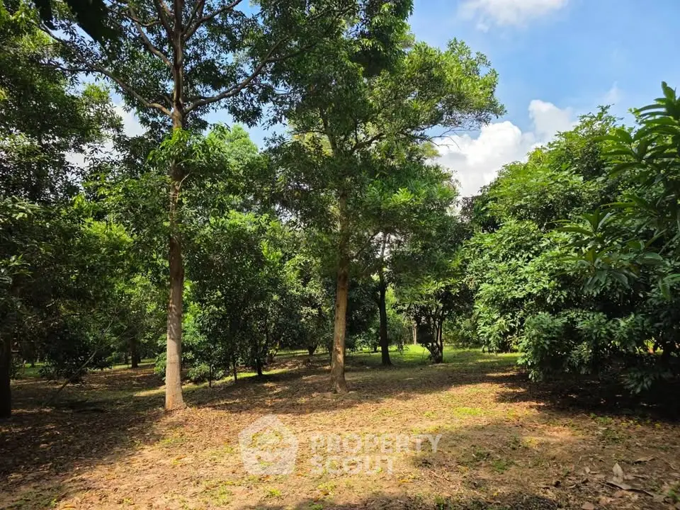 Lush green garden with mature trees under a clear blue sky, perfect for serene outdoor living.