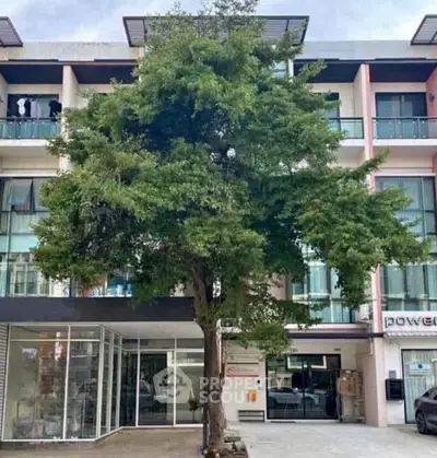 image_rental-27858694