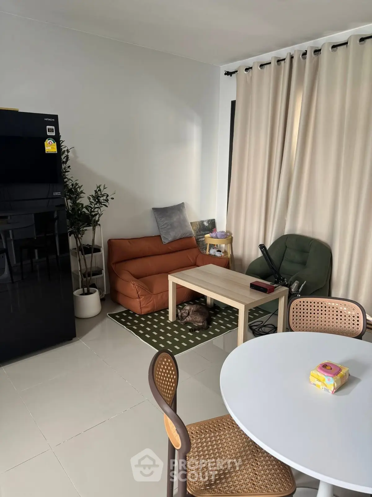 Cozy living room with modern furniture and natural light