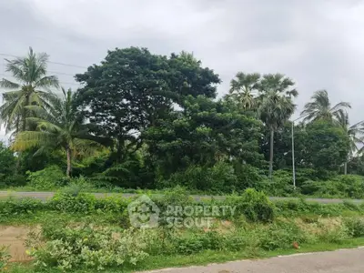 image_rental-28010227