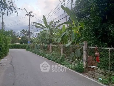 Charming suburban road with lush greenery and banana trees, perfect for tranquil living.