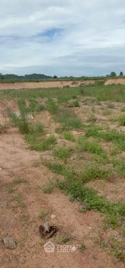 Expansive land plot with scenic views, ideal for development or investment opportunities.
