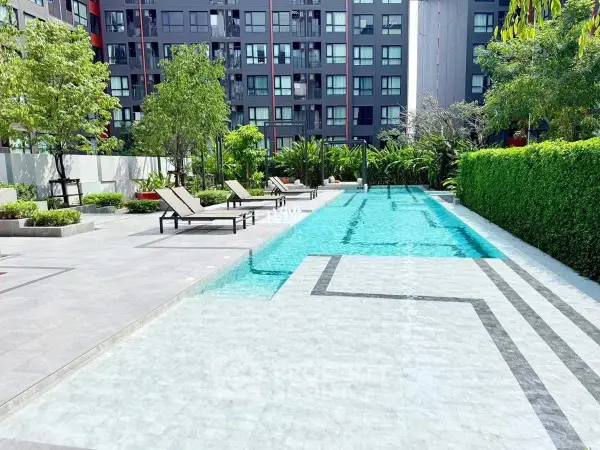 image_rental-30168292