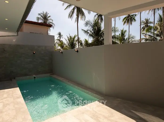 Luxurious private pool area with tropical palm tree backdrop