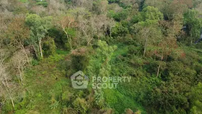 Lush green landscape with dense trees and open spaces, ideal for development.