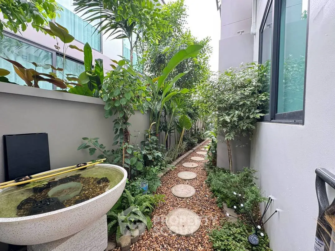 Charming garden pathway with lush greenery and modern design in a residential setting.