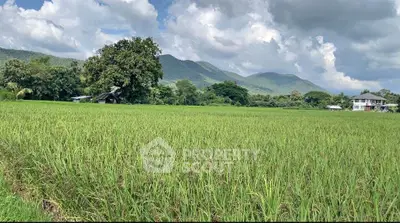 image_rental-31506531