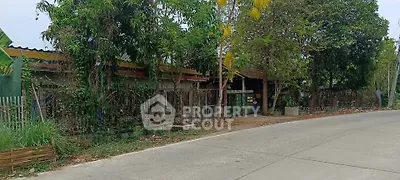 Charming rural property with lush greenery and rustic fencing along a quiet road.