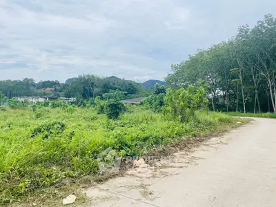 Expansive green land with scenic views, perfect for development or investment opportunities.