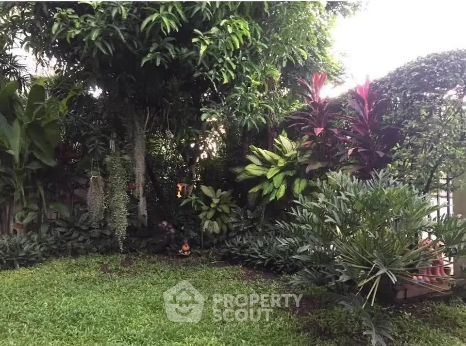 Lush garden with diverse tropical plants and vibrant greenery, perfect for nature lovers.