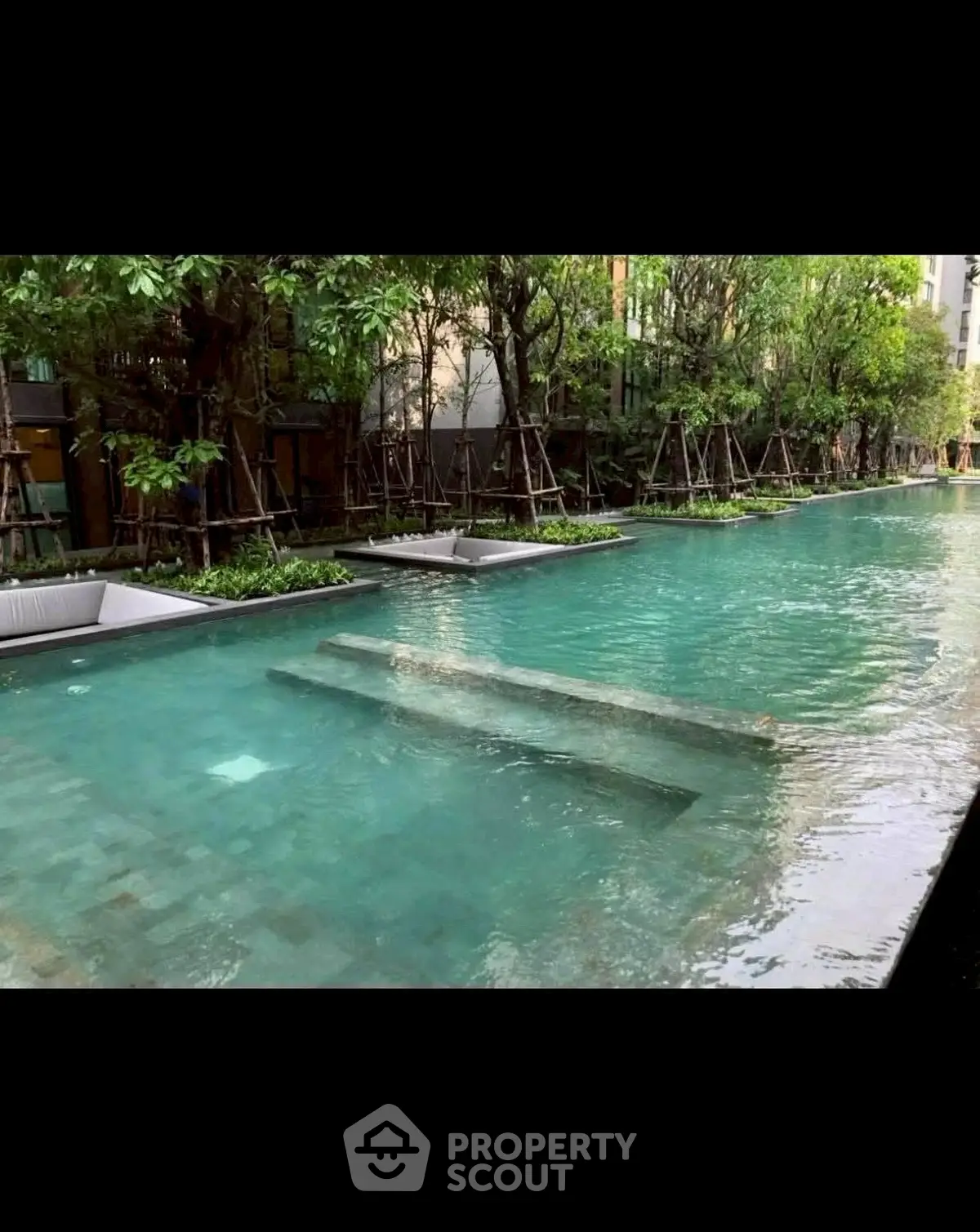 Luxurious residential pool surrounded by lush greenery, perfect for relaxation and leisure.