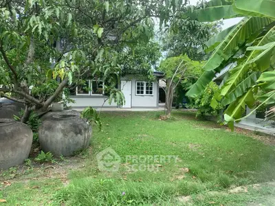 Charming garden view of a cozy home surrounded by lush greenery and large clay pots.