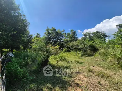 image_rental-30569792