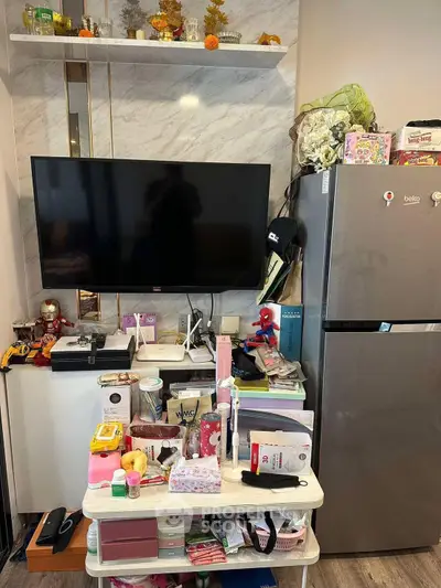 Modern living room with TV, fridge, and organized shelves in a cozy apartment setting.